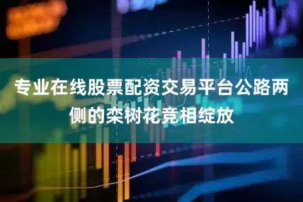 专业在线股票配资交易平台公路两侧的栾树花竞相绽放