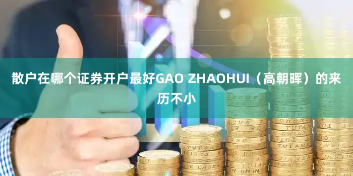 散户在哪个证券开户最好　　GAO ZHAOHUI（高朝晖）的来历不小